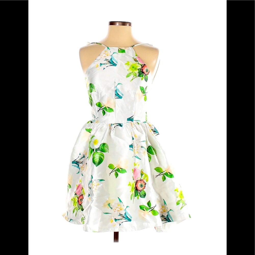 Fashion Nova Cocktail Dress